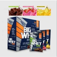 BİG WHEY GO PROTEİN TOZU 68 ŞASE